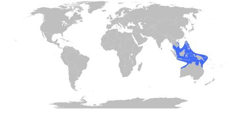 box jellyfish distribution map|chironex fleckeri habitat.